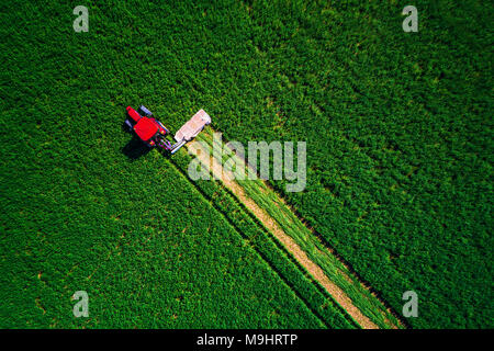 Le fauchage du tracteur champ vert, vue aérienne. Banque D'Images