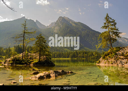 Pines sur les rochers dans l'eau peu profonde du lac Königssee contre mountain Banque D'Images