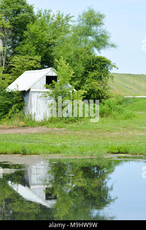 Réflexion sur un hangar blanc Frog Pond dans l'Iowa rural Banque D'Images
