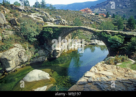 Vieux pont de pierre, à génoise Niolu vallée, Calacuccia, Corse, France, Europe, Méditerranée Banque D'Images