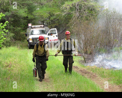 Un feu arrière d'éclairage off Pine Creek Road à garder l'incendie principal réprimées et contenus. Photo par Sara Giles/USFWS. Banque D'Images