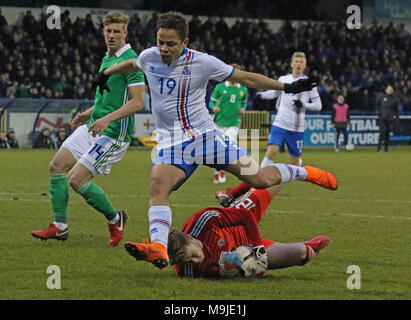 Coleraine Showgrounds, Coleraine, en Irlande du Nord, Royaume-Uni. 26 mars 2018. Le football International - 2019 En vertu de l'UEFA 21 Qualificatif Championnat - Groupe 2 - L'Irlande du Nord v Islande. L'Irlande du gardien Bailey Peacock-Farrell sauve de Mikael Anderson. Crédit : David Hunter/Alamy Live News. Banque D'Images