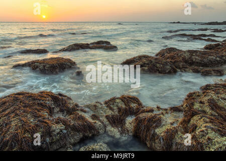 Shot HDR d'océan lave-les rochers couverts d'algues et de varechs dans susnet la lumière. Koh Lanta, Thaïlande Banque D'Images