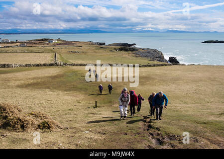 Groupe de randonneurs dans la longue ligne de randonnée à pied sur l'île d'Anglesey sentier côtier de Rhoscolyn, Holy Island, Anglesey, au nord du Pays de Galles, Royaume-Uni, Angleterre Banque D'Images