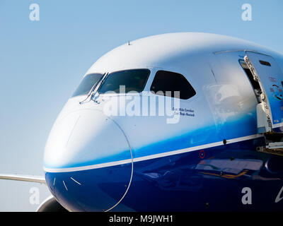 Boeing 787 Dreamliner au nez de l'avion de l'aviation internationale et de l'espace salon à Moscou MAKS, 16 août 2011, la Russie. Banque D'Images