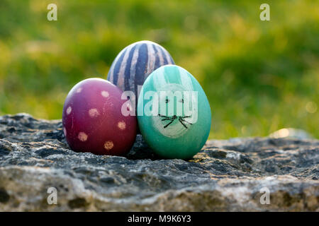 La chasse aux œufs de Pâques la tradition Banque D'Images