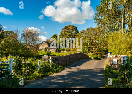 C'est Thomas Hardy pays. L'écrivain a vécu à proximité et doit ont marché sur le pont de nombreuses fois. Banque D'Images