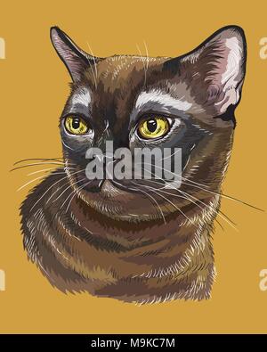 Contour vectoriel portrait coloré de curieux chat birman en noir et marron. Dessin illustration isolé sur fond orange Illustration de Vecteur