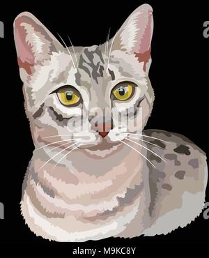 Contour vectoriel portrait coloré de curieux chat Mau égyptien en noir, blanc et gris. Illustration isolé sur fond noir Illustration de Vecteur