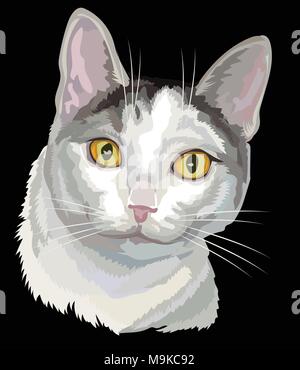 Contour vectoriel portrait coloré de curieux mongrel cat en noir, blanc et gris. Illustration isolé sur fond noir Illustration de Vecteur