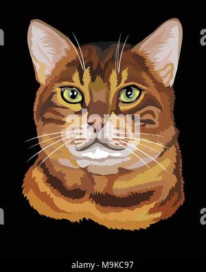 Contour vectoriel portrait coloré de tabby Chat Bengal de couleur curieux en noir, orange et marron. Illustration isolé sur fond noir Illustration de Vecteur