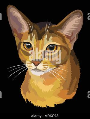 Contour vectoriel portrait coloré de curieux chat abyssin en orange et marron. Illustration isolé sur fond noir Illustration de Vecteur