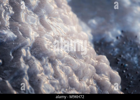 Un beau gros plan d'une eau de mer gelée sur la côte de la mer Baltique. Vagues d'eau salée gelées sur une plage. Gros plan abstrait de glace. Banque D'Images