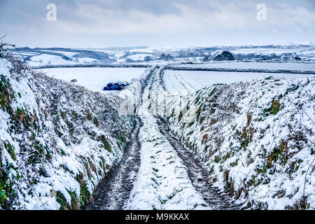 Une scène rurale montrant une piste étroite avec les haies d'autre division domaines couverts dans la neige de cet hiver, la "bête de l'Est'. Banque D'Images