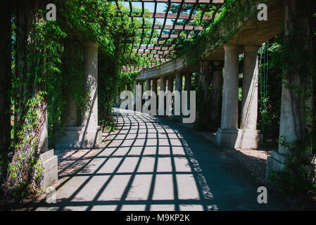 L'intérieur de la Pergola park à Wroclaw, Pologne Banque D'Images