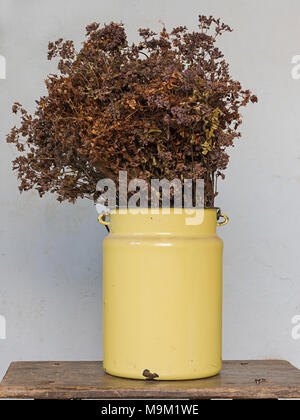 Décoration maison concept : prairie séchées des fleurs dans un pot en métal jaune sur le vieux banc de bois avec des clous qui sort Banque D'Images