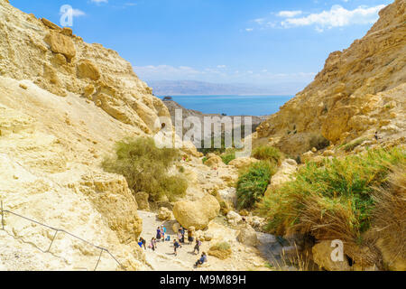 EIN GEDI, ISRAËL - 16 mars 2018 : Paysage de Nahal David vallée, et la mer Morte, avec les visiteurs, dans la réserve naturelle d'Ein Gedi, désert de Judée, S Banque D'Images