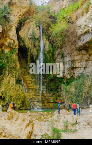 EIN GEDI, ISRAËL - 16 mars 2018 : La chute de David, avec les visiteurs, dans la réserve naturelle d'Ein Gedi, désert de Judée, dans le sud d'Israël Banque D'Images