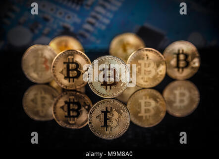 Or de nombreux bitcoins restant sur la surface réfléchissante avec une seule mise au point nette bitcoin Banque D'Images