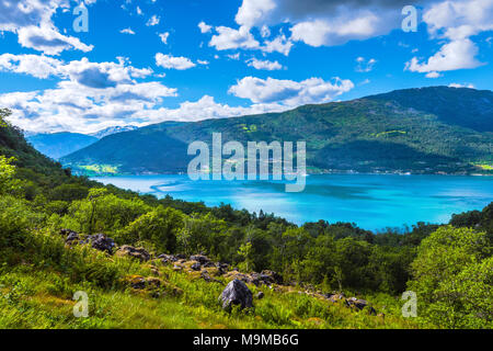 Panorama du Lustrafjorden d'en haut, de la Norvège, une partie de la le Sognefjorden Banque D'Images