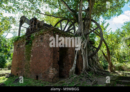 Des outils et des restes d'usine de transformation du sucre à partir d'un vieux moulin datant du milieu du 19ème siècle à Lamanai, Belize Banque D'Images