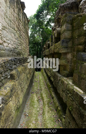 Ruines mayas et les temples de Nakum, Guatemala Banque D'Images