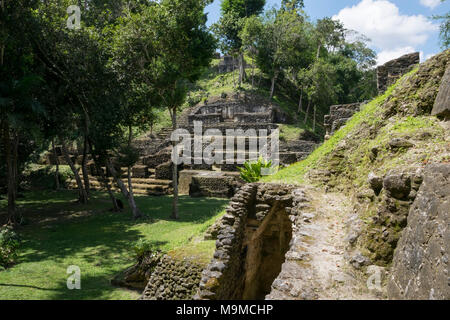 Ruines mayas et les temples de Nakum, Guatemala Banque D'Images