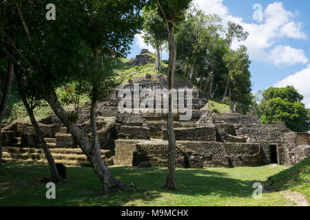 Ruines mayas et les temples de Nakum, Guatemala Banque D'Images