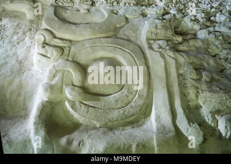 La pierre ancienne de glyphes mayas le site archéologique de Yaxha, Guatemala Banque D'Images