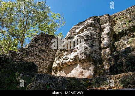 Temple maya ancienne demeure de Uaxactun, Guatemala Banque D'Images