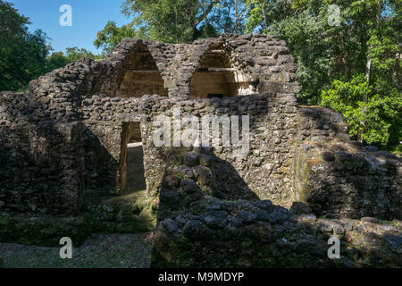 Temple maya ancienne demeure de Uaxactun, Guatemala Banque D'Images