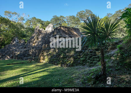 Temple maya ancienne demeure de Uaxactun, Guatemala Banque D'Images