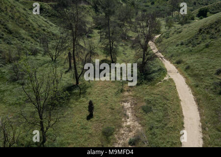 Vue de dessus de la saleté sentier conduisant à travers bois et prairies de la Californie. Banque D'Images