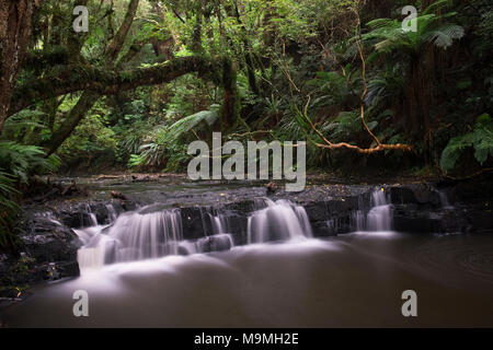 Débit d'eau soyeuse à Purakaunui Falls dans la Nouvelle-Zélande, Catlins Banque D'Images