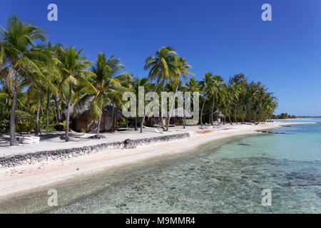 Bungalows sur la plage sous les palmiers, l'atoll de Tikehau, archipel des Tuamotu, îles de la société, Iles du Vent, Polynésie Française Banque D'Images