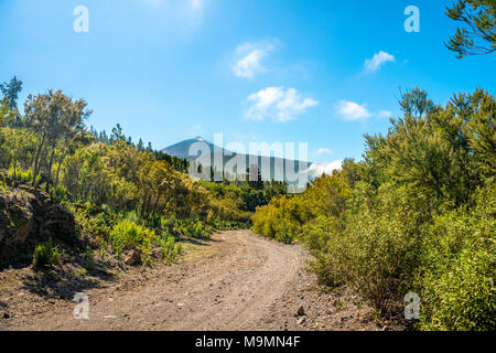 Route de gravier, sentier de randonnée, dans le volcan retour Pico del Teide, le Parc National du Teide, Parque Nacional del Teide, Tenerife Banque D'Images