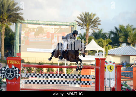 WELLINGTON, FL - MARS 01 : Andres Rodriguez participants à la somme de 150 000 diamants Lugano Grand Prix. Le 2015 Winter Equestrian Festival, a conclu sa huitième semaine de compétition le dimanche avec une victoire pour Todd Minikus (USA) et deux cygnes Babalou des fermes dans le 41 dans le Grand Prix de 150 000 $ le CEPA 4*, présenté par Lugano en diamants. La paire a conduit un cheval 10 avec un top trois pour terminer les États-Unis dans cette semaine de compétition du CEPA final. Beezie Madden (USA) et Simon a terminé deuxième, et Meagan Nusz (USA) et Dynamo placé troisième au Palm Beach International Equestrian Center le 1 mars 2015 en Banque D'Images