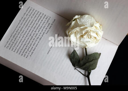 Dernière page de 'Le journal d'une jeune fille' par Anne Frank, montrant les mots 'le journal d'Anne se termine ici" avec une rose blanche flétri placé sur le livre Banque D'Images