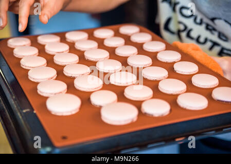 Image main de femme libre de mettre les cookies macrons français sur le plat Banque D'Images