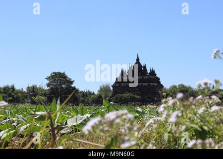 Le paysage de la zone du Temple de la Plaosan, l'un des temples hindous-bouddhistes d'Indonésie, est situé dans le district de Klaten, province de Java centrale Banque D'Images