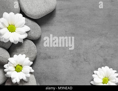 Ensemble de fleurs blanches sur le caillou. Concept Spa. Banque D'Images