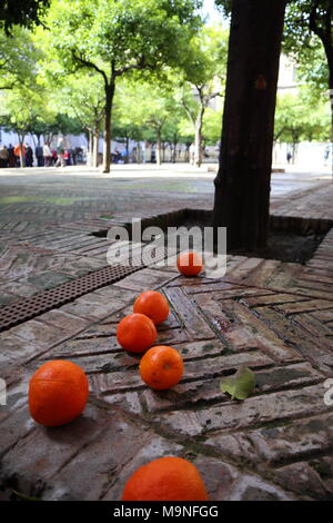 Oranges mûres sur un sol pavé, dans la cour de la cathédrale de Séville, Espagne Banque D'Images