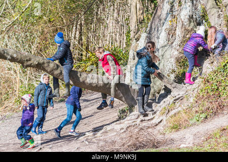 Groupe de jeunes enfants jouant à l'extérieur et de l'escalade sur un arbre en hiver au Royaume-Uni. Banque D'Images