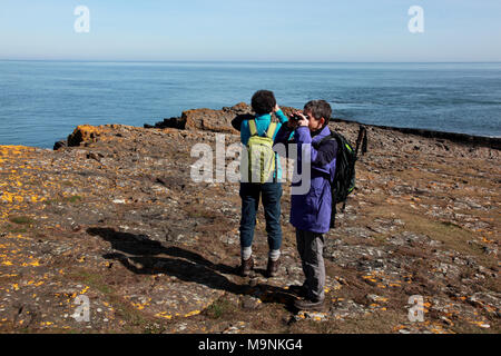 Deux femmes birdwatching sur Lindisfarne, Holy Island sur la côte nord-est de Northumberland Banque D'Images