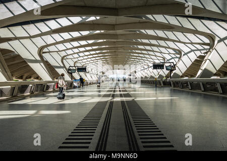 La gare de Saint-Exupéry, architecte Santiago Calatrava, Lyon-Saint-Exupéry Aéroport, Lyon, France Banque D'Images