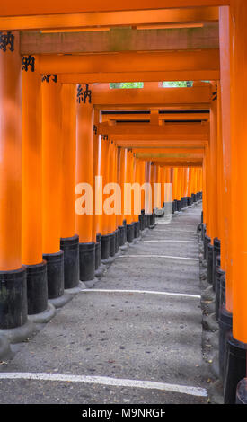 Fushimi Inari Taisha Japon kyoto , Banque D'Images