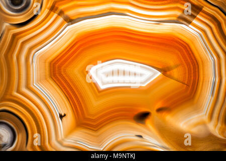 Une Agate polie du noir et blanc marron. Banque D'Images