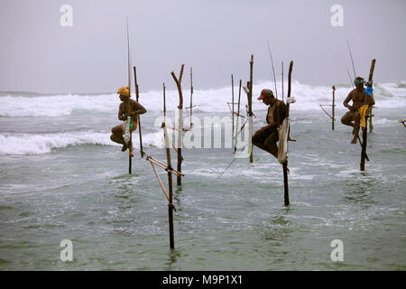 Stilt Fisherman, près de Galle, Sri Lanka Banque D'Images