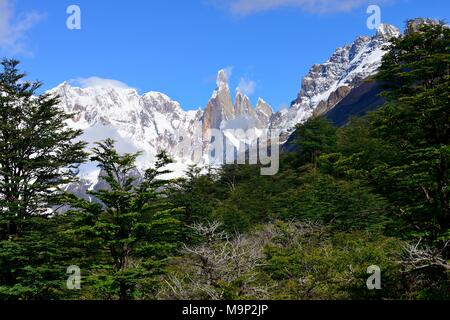 Voir à travers la forêt sur le Cerro Torre et le Cerro Adela, Parc National Los Glaciares, El Chaltén, Province de Santa Cruz, Argentine Banque D'Images