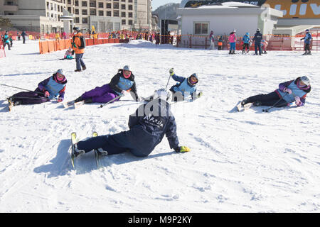 Quatre femmes apprennent à se tenir debout après avoir chuté alors que le ski, dans l'Alpensia resort dans la région du Gangwon-do en Corée du Sud. L'Alpensia Resort est une station de ski et une attraction touristique. Il est situé sur le territoire du canton de Daegwallyeong-myeon, dans le comté de Pyeongchang, hébergeant les Jeux Olympiques d'hiver en février 2018. La station de ski est à environ 2,5 heures à partir de l'aéroport d'Incheon à Séoul ou en voiture, tous principalement d'autoroute. Alpensia possède six pistes de ski et snowboard, avec fonctionne jusqu'à 1.4 km (0,87 mi) long, pour les débutants et les skieurs avancés, et une zone Banque D'Images